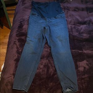 Indigo Blue Women's Dark Blue Jeggings